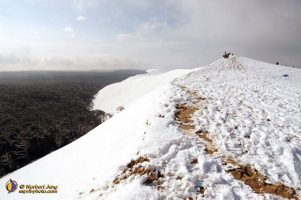 Nom de l'image : D1111943-nef-01_(c)Norbert-JUNG — Description :
